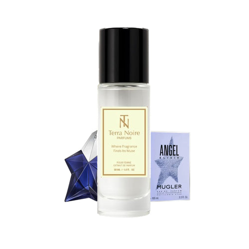 Angel — Terra Noire